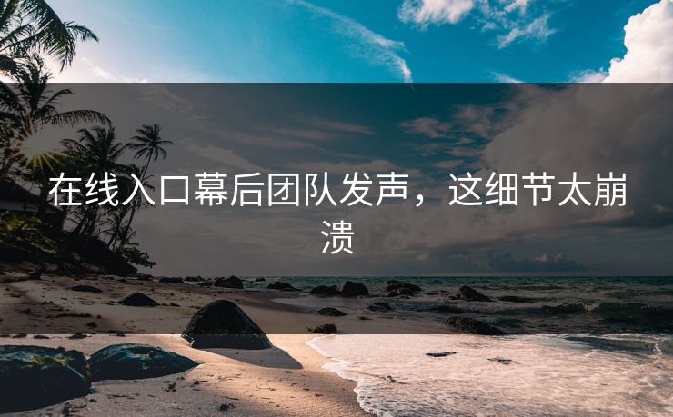 在线入口幕后团队发声，这细节太崩溃