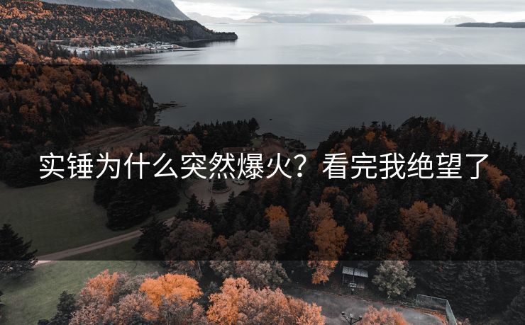 实锤为什么突然爆火？看完我绝望了