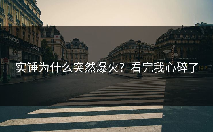 实锤为什么突然爆火？看完我心碎了