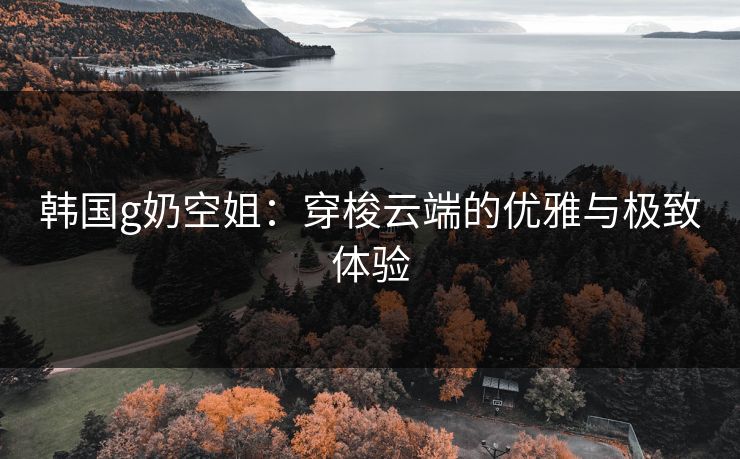 韩国g奶空姐：穿梭云端的优雅与极致体验