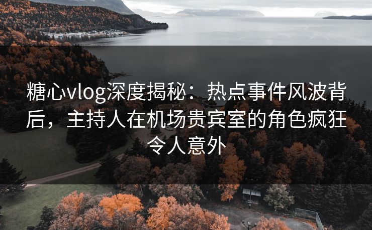 糖心vlog深度揭秘：热点事件风波背后，主持人在机场贵宾室的角色疯狂令人意外