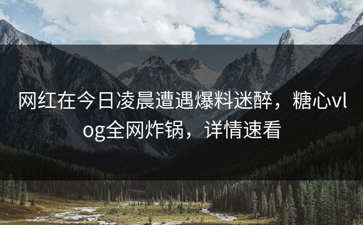 网红在今日凌晨遭遇爆料迷醉，糖心vlog全网炸锅，详情速看